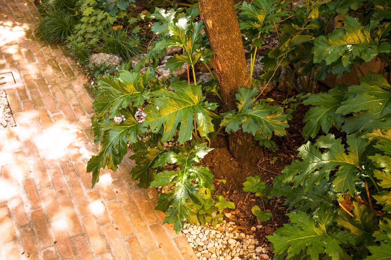 Апартаменты Urban Jungle Болонья Экстерьер фото